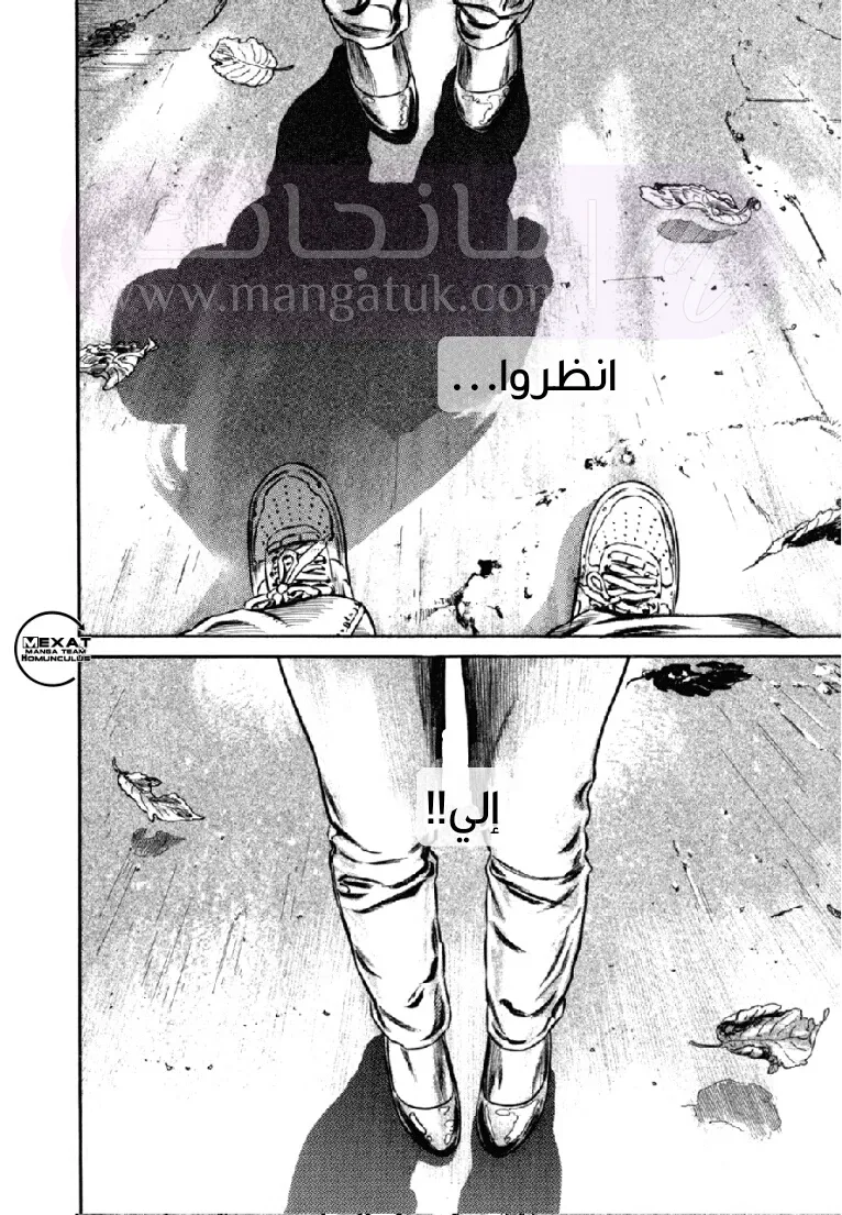 الصفحة 11