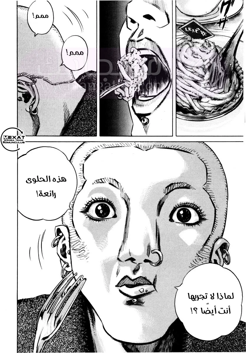 الصفحة 13