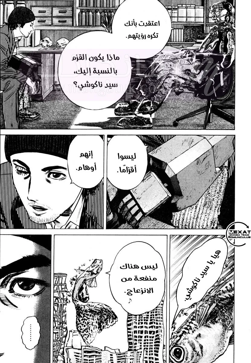 الصفحة 17