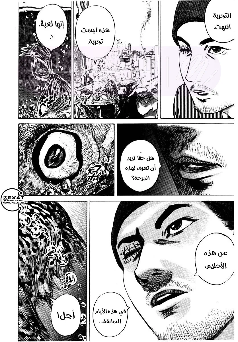 الصفحة 24