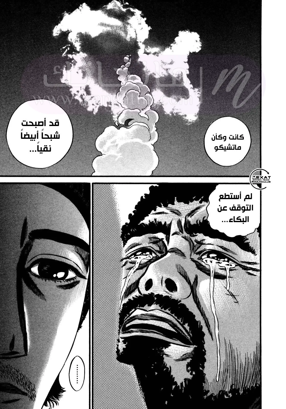الصفحة 14