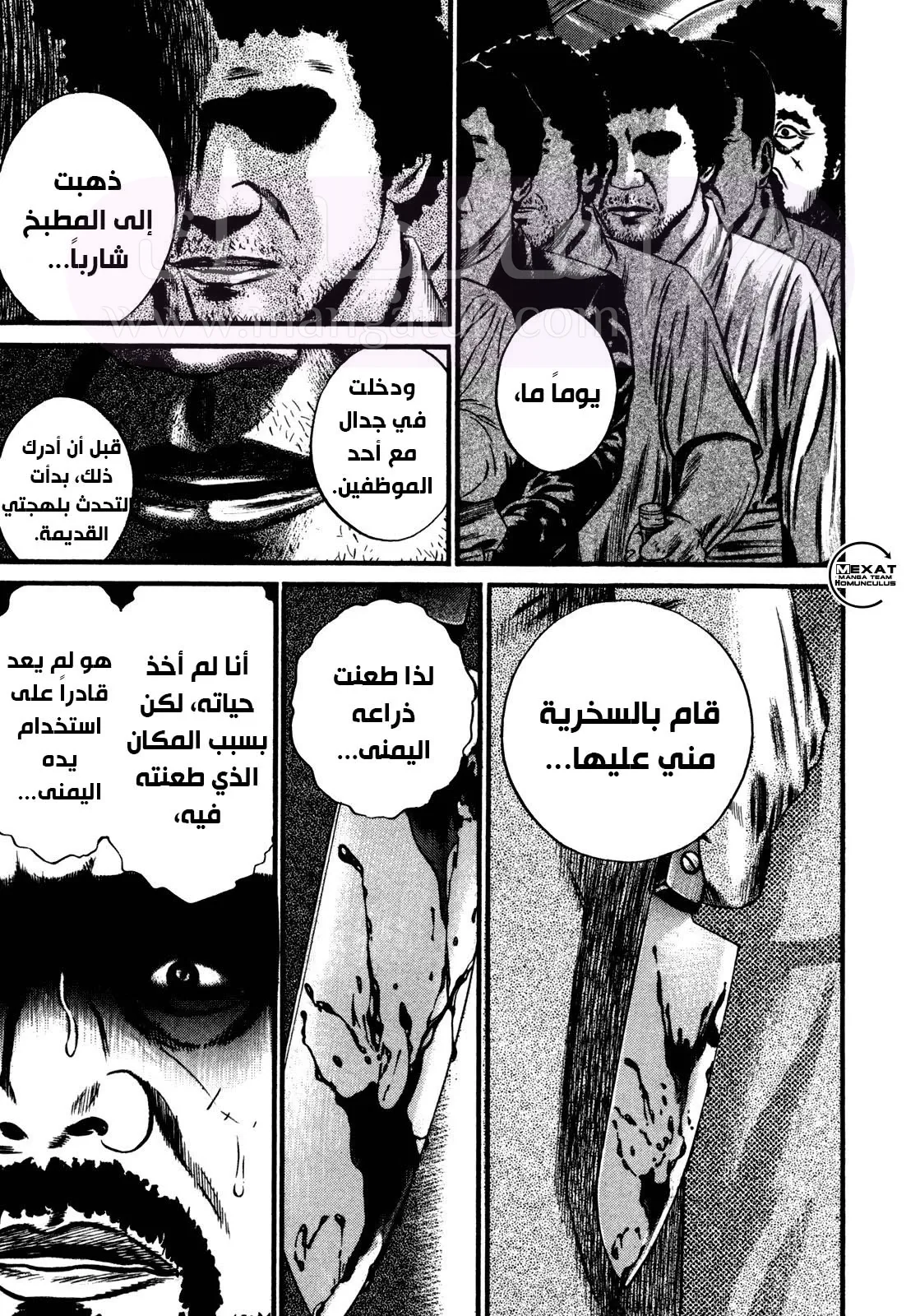 الصفحة 17