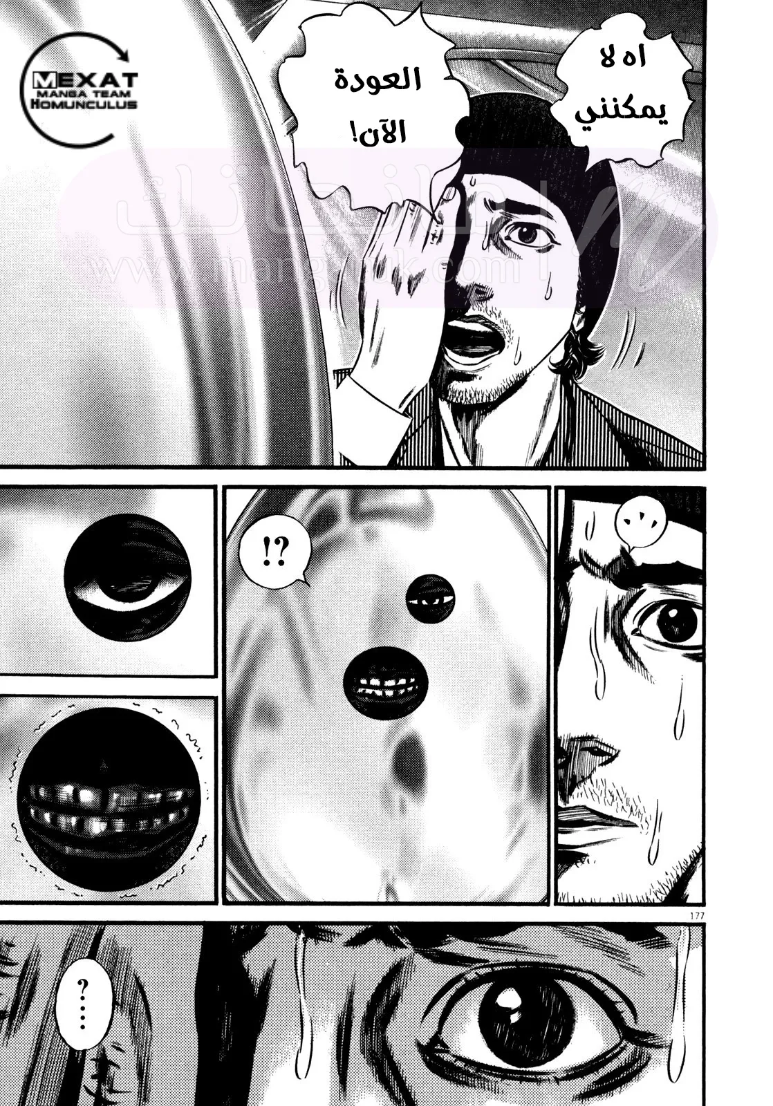 الصفحة 17