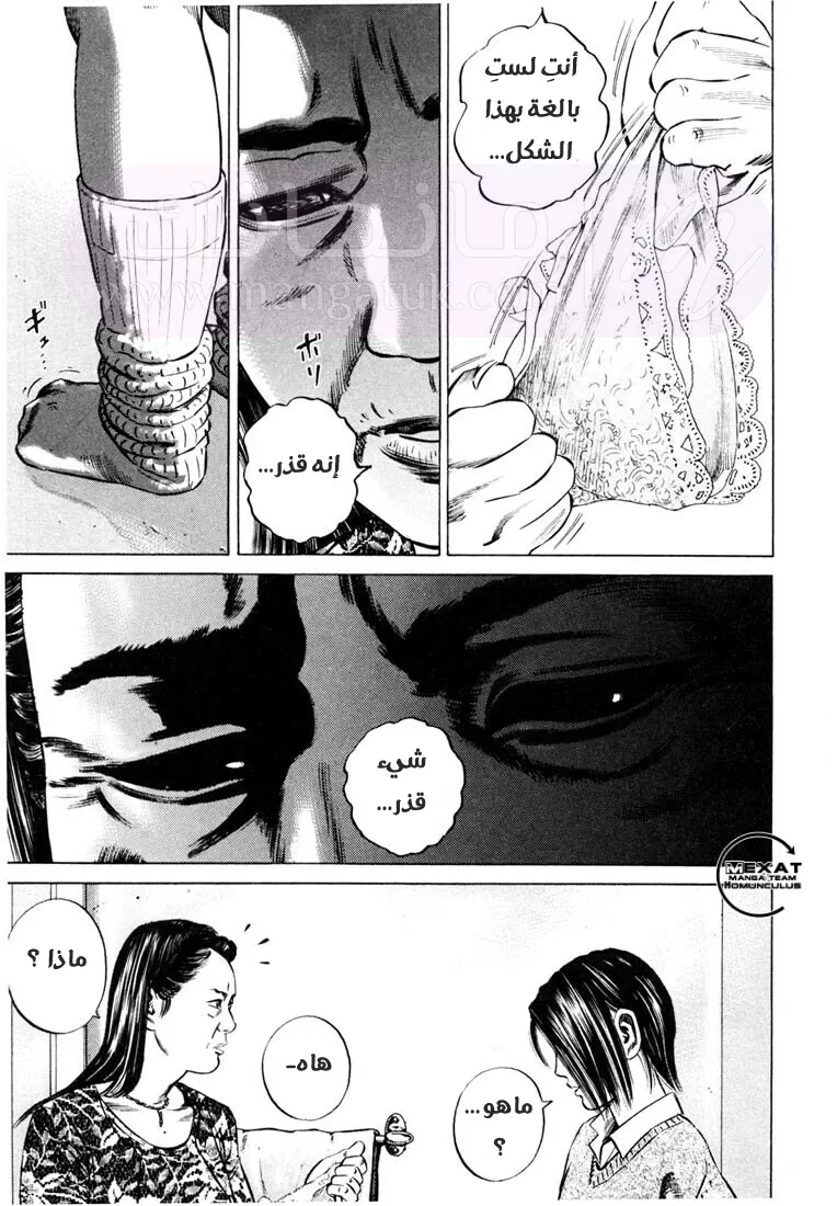الصفحة 17