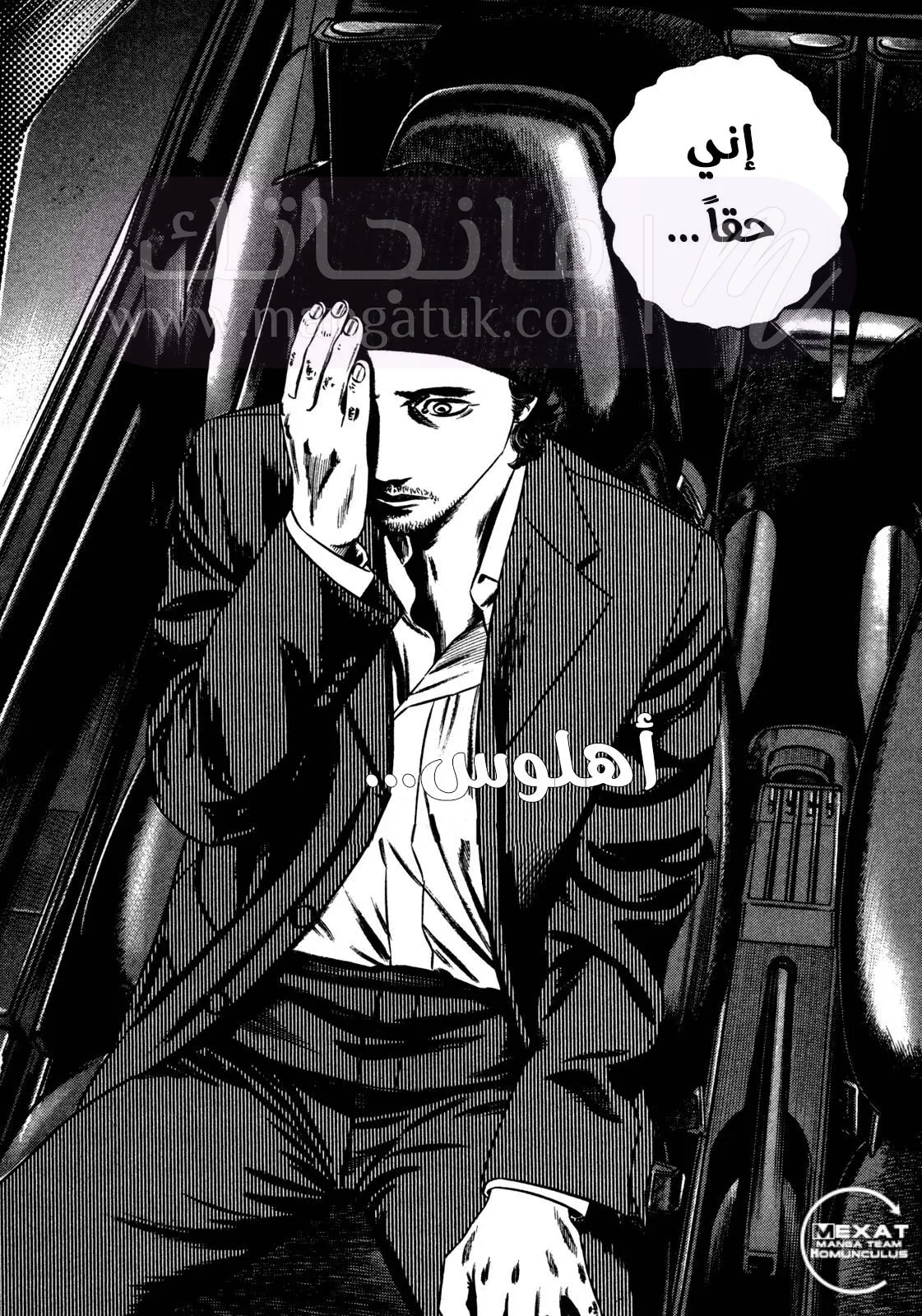 الصفحة 13