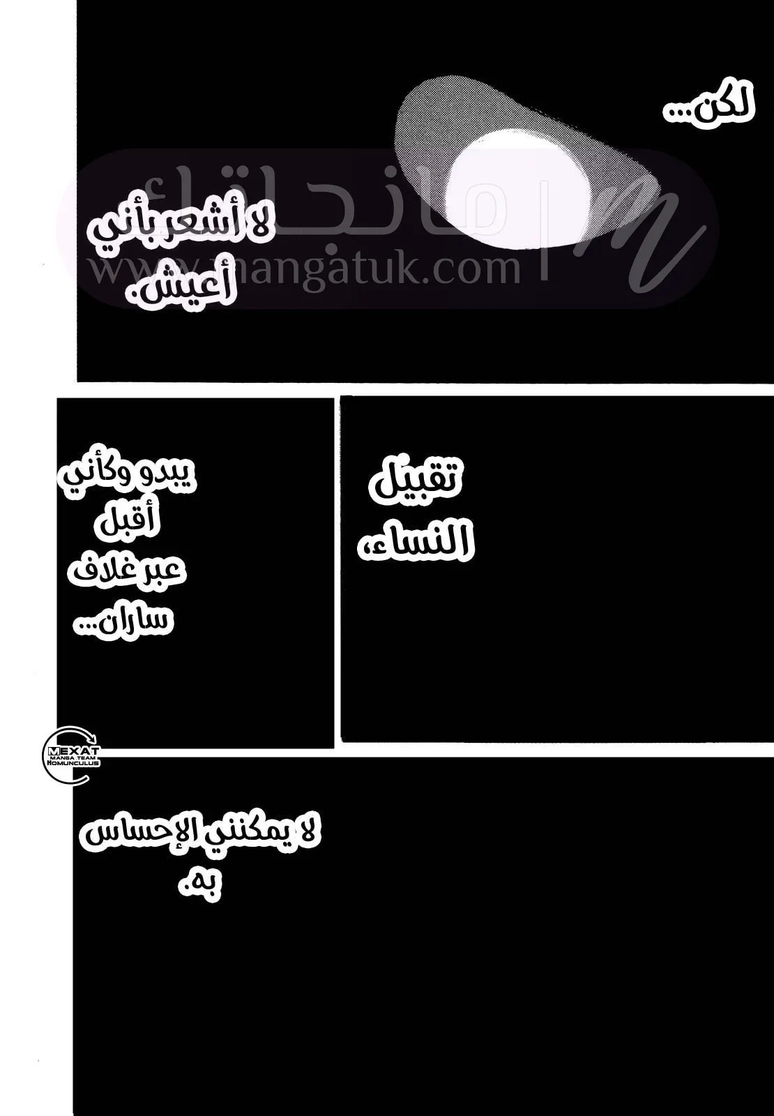الصفحة 17