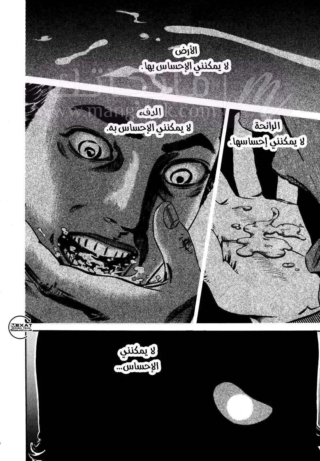 الصفحة 19