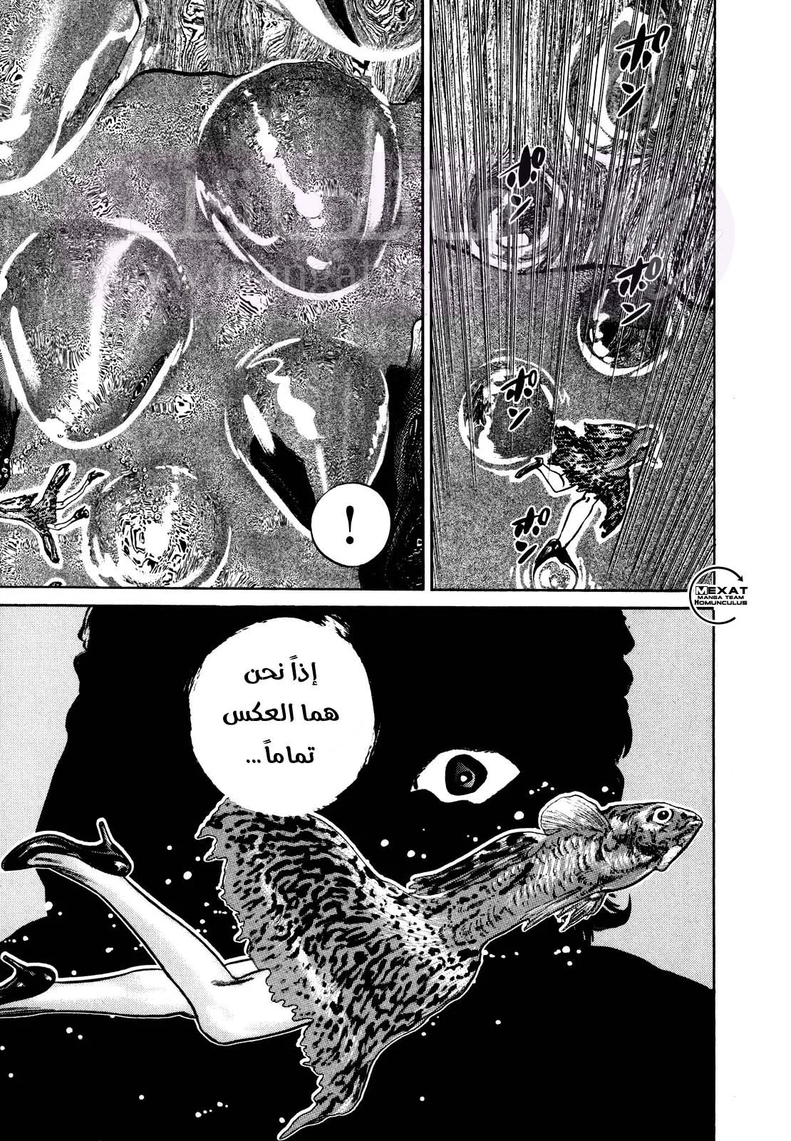 الصفحة 41