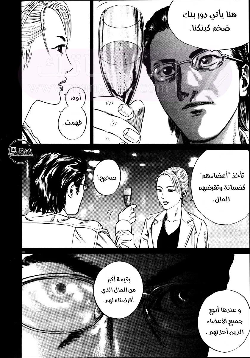 الصفحة 17