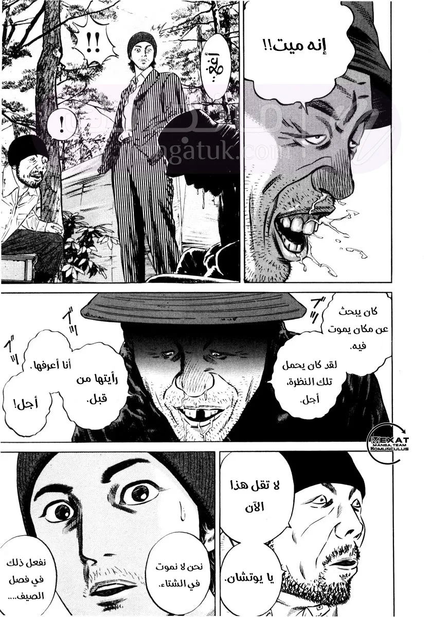 الصفحة 41