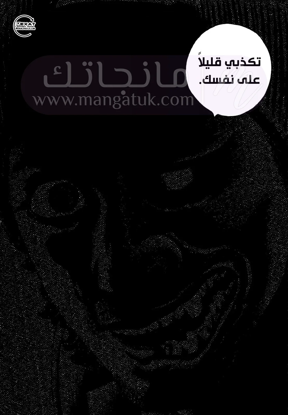 الصفحة 17