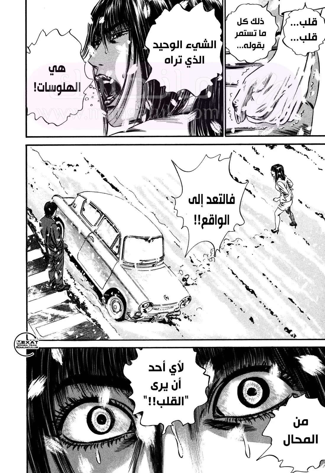 الصفحة 24