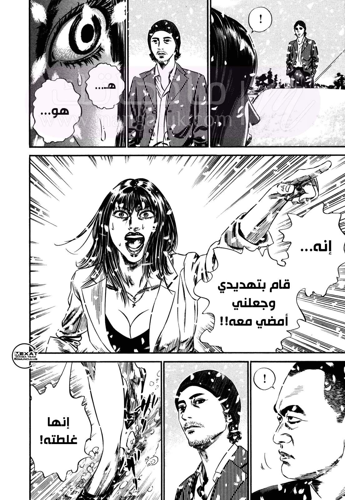 الصفحة 28