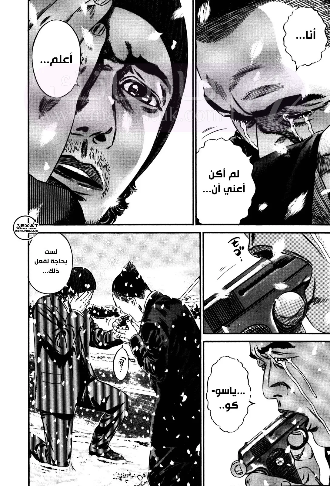 الصفحة 46