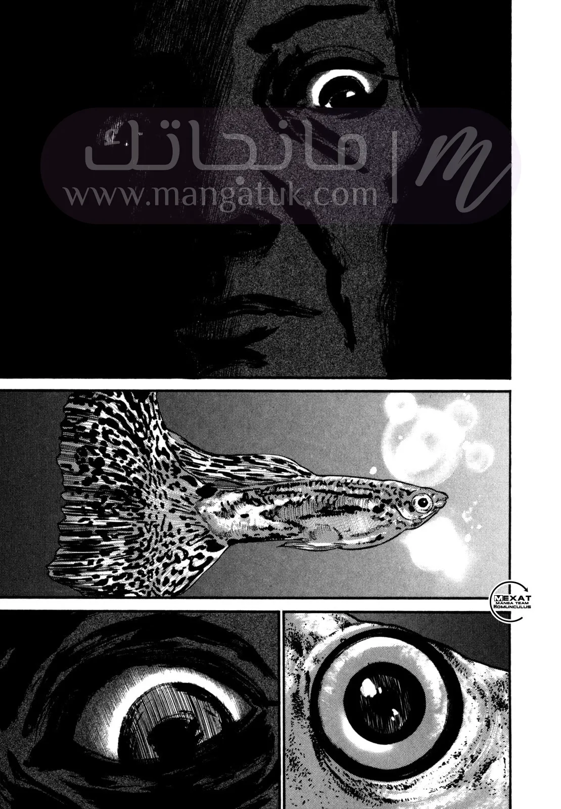 الصفحة 20