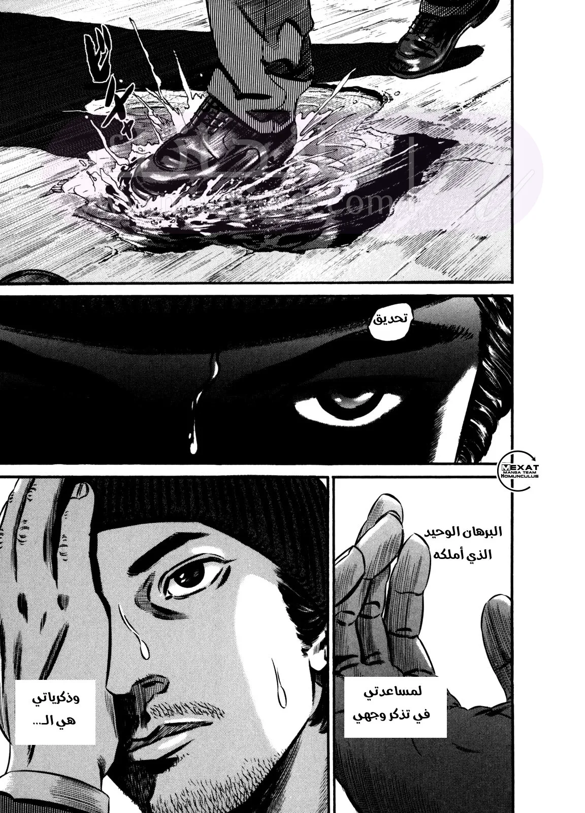 الصفحة 42