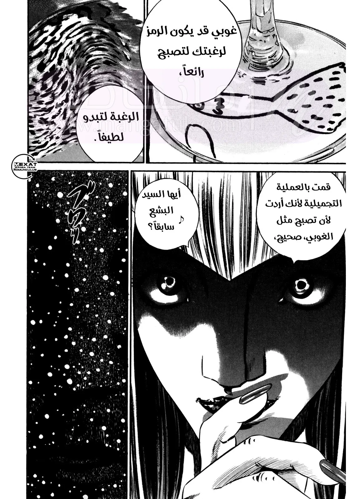 الصفحة 13