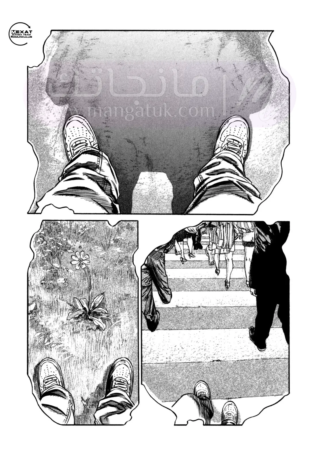 الصفحة 42