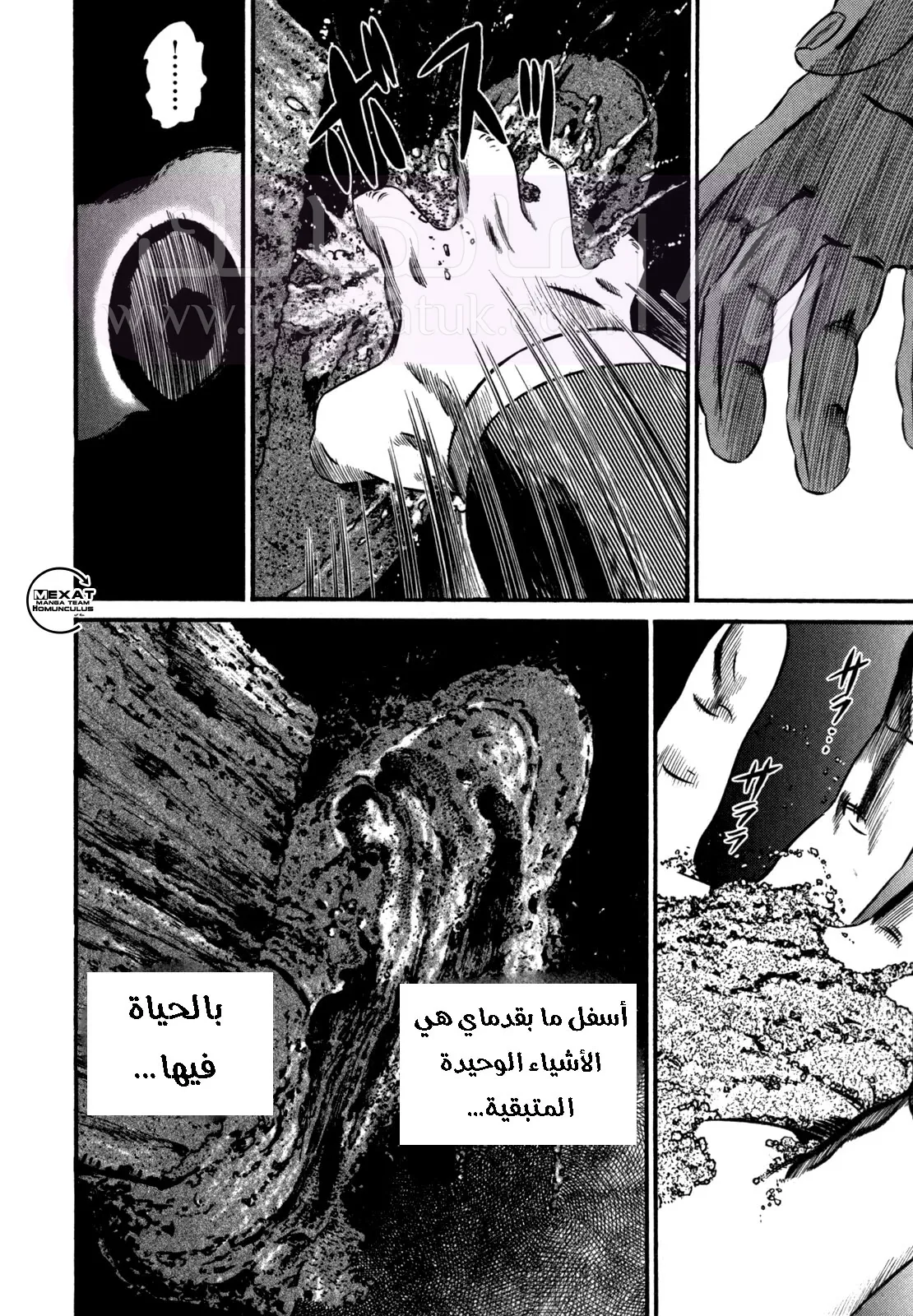 الصفحة 46