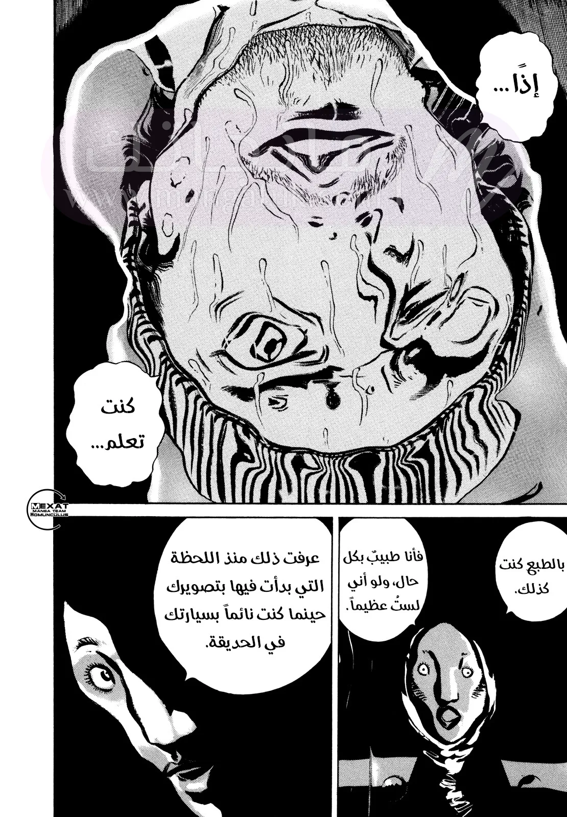 الصفحة 13