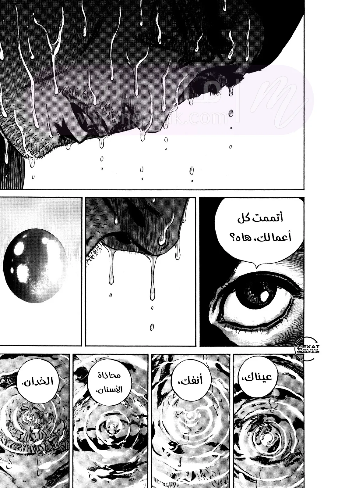 الصفحة 14
