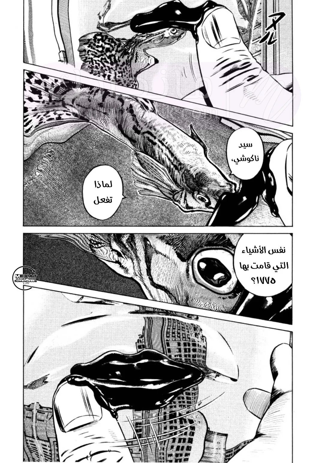 الصفحة 3
