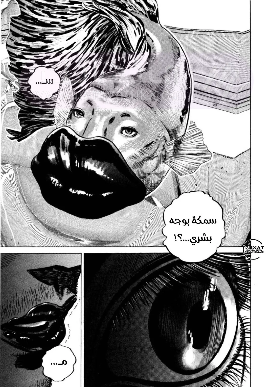 الصفحة 16