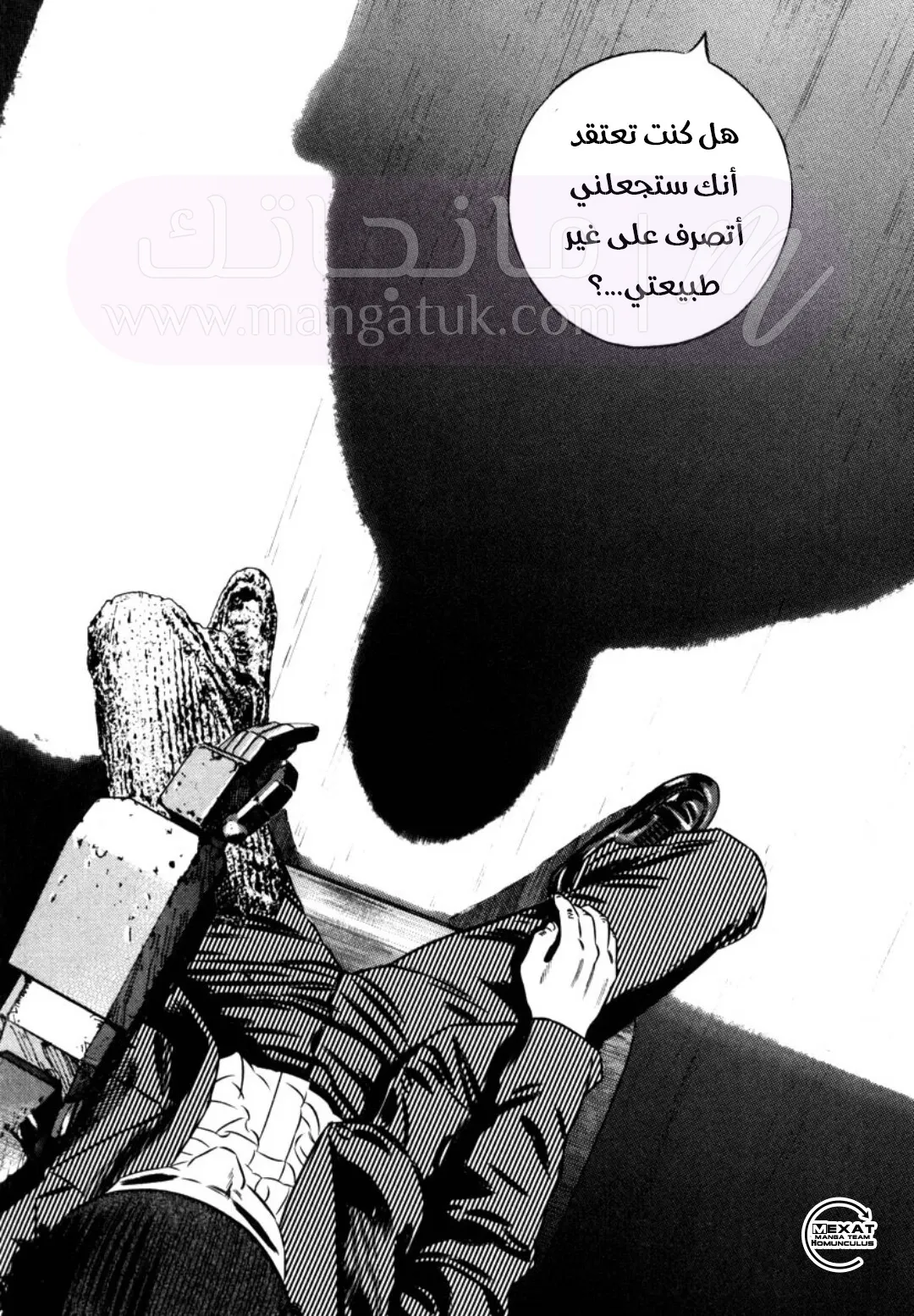 الصفحة 31