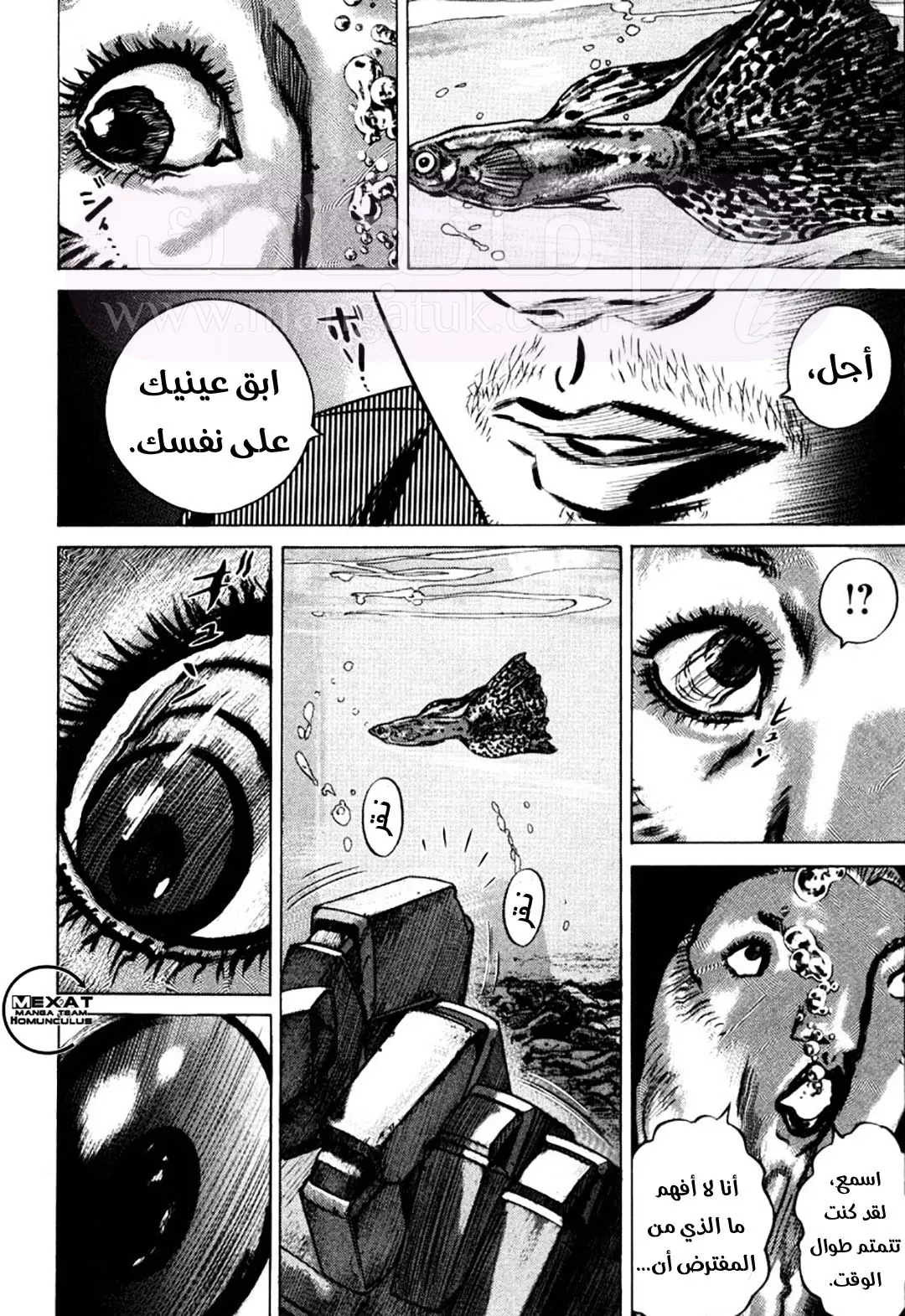 الصفحة 56