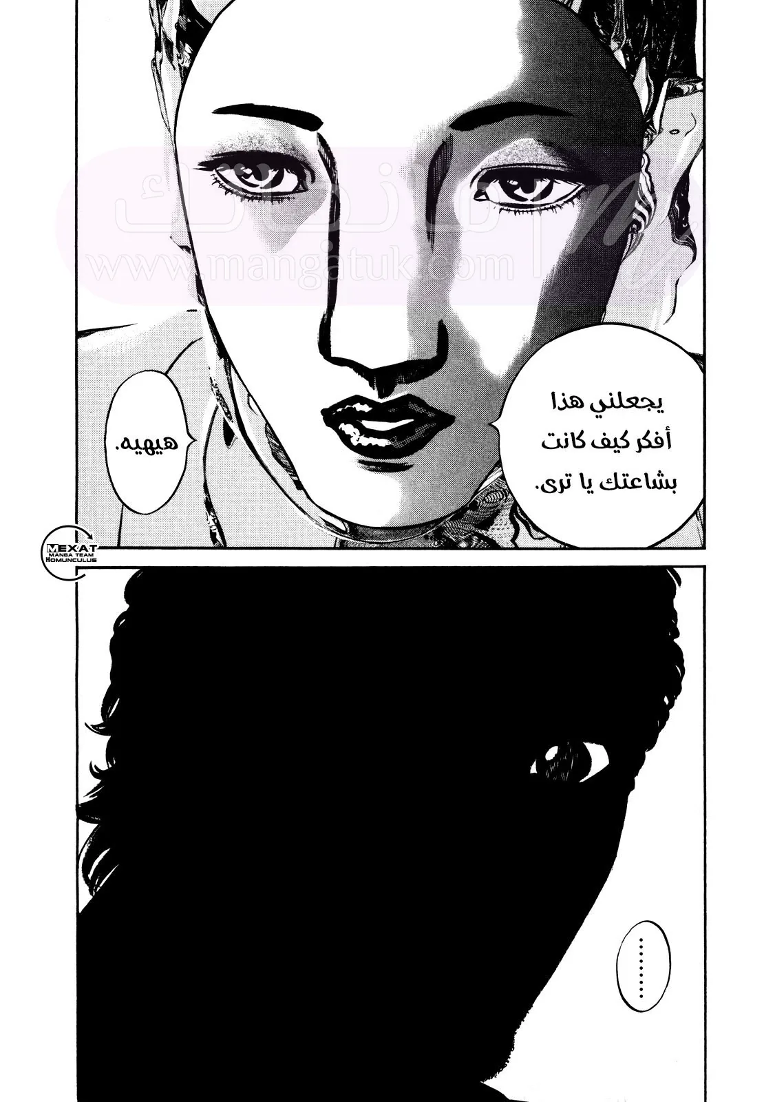 الصفحة 13