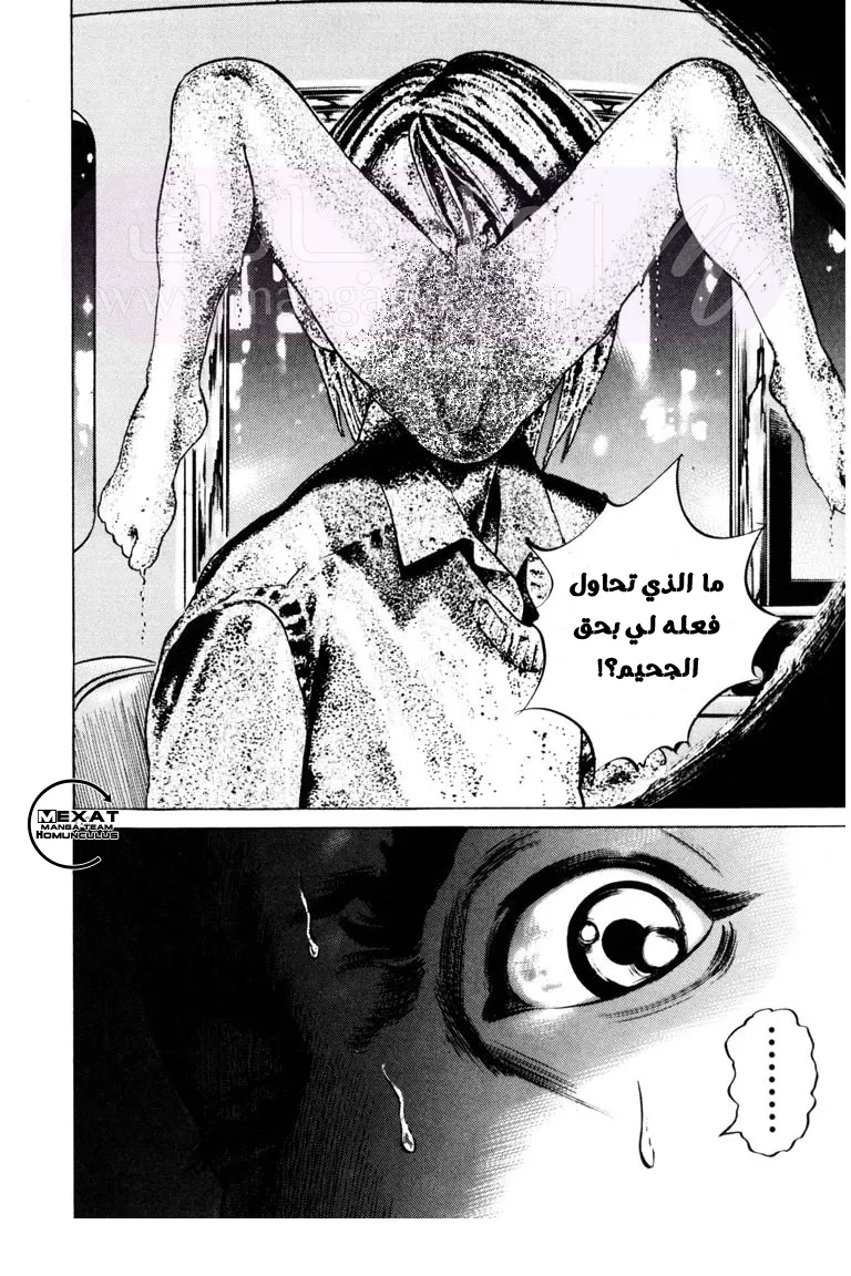 الصفحة 11