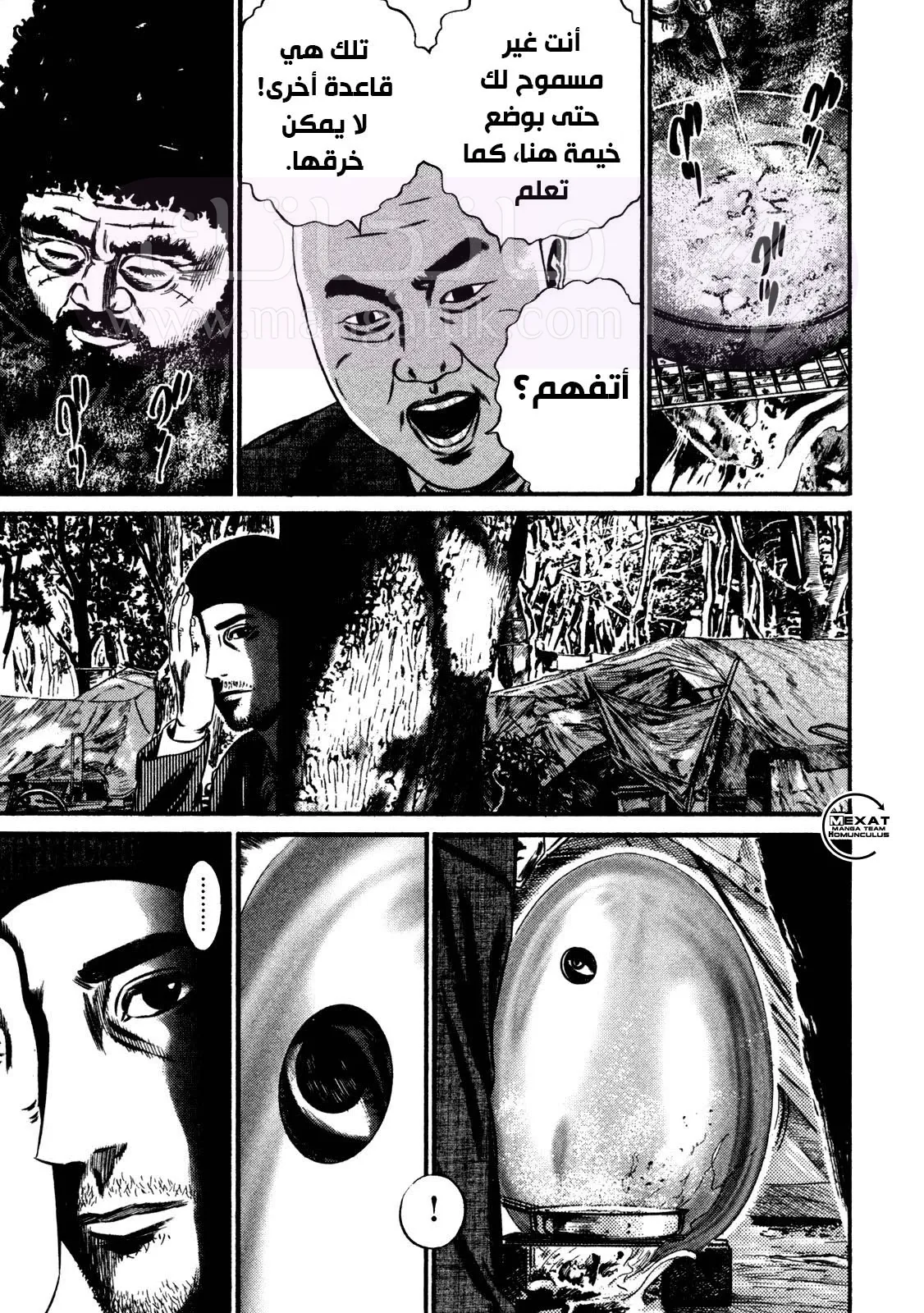 الصفحة 17