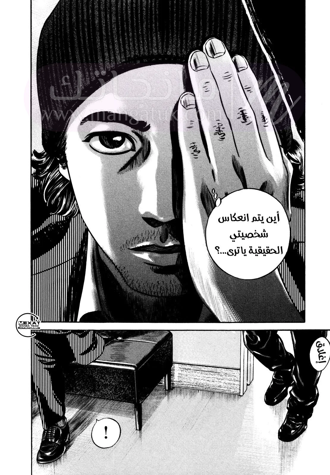 الصفحة 46