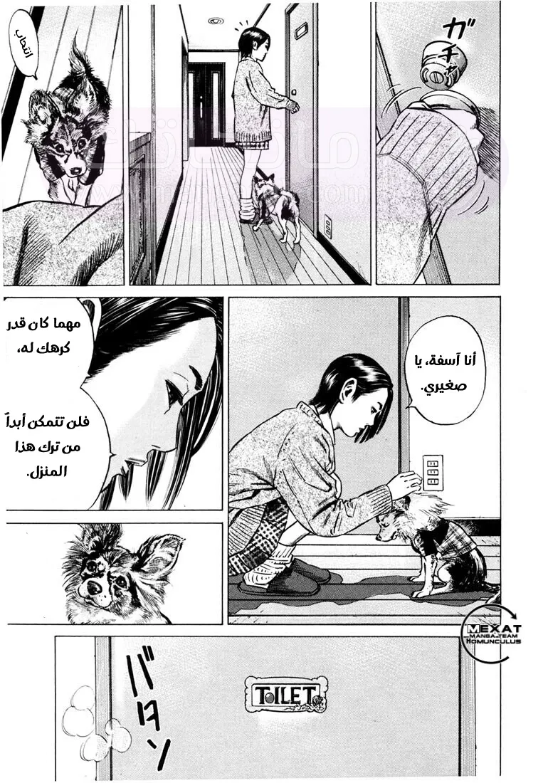 الصفحة 15