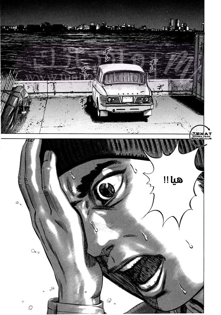 الصفحة 41