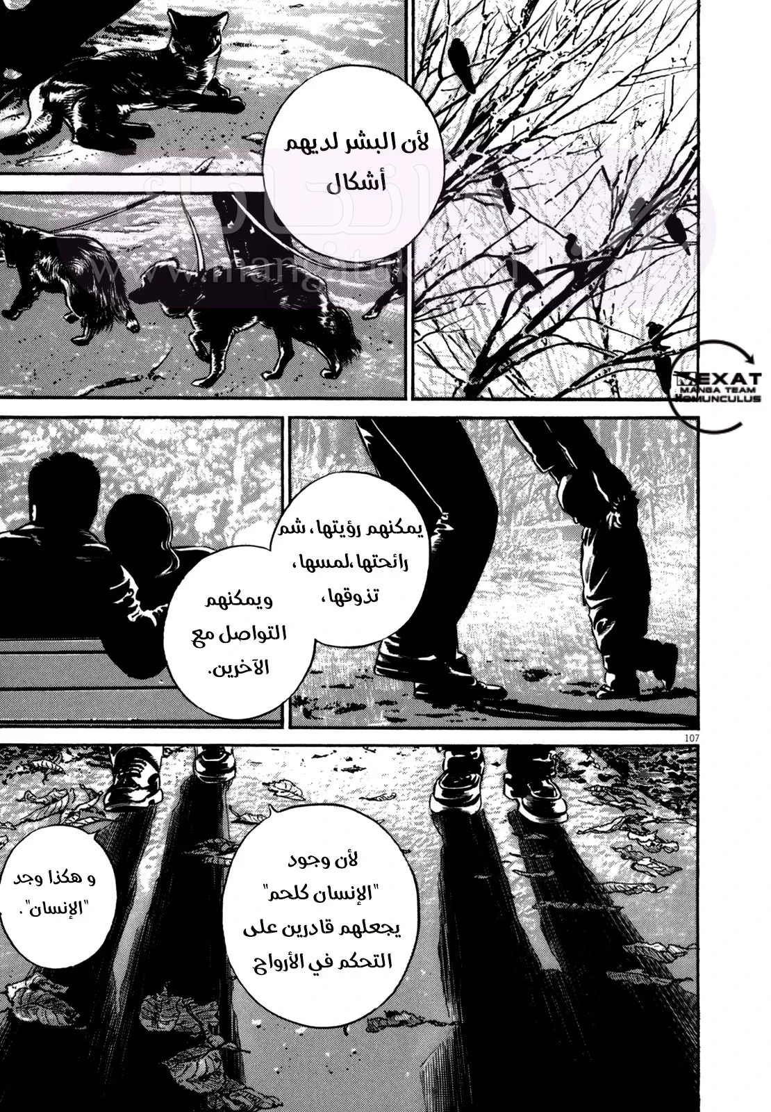 الصفحة 3