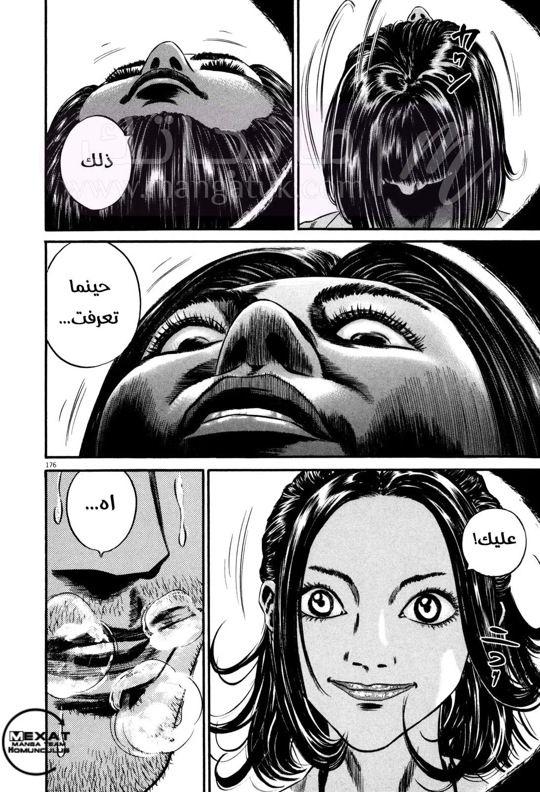 الصفحة 17