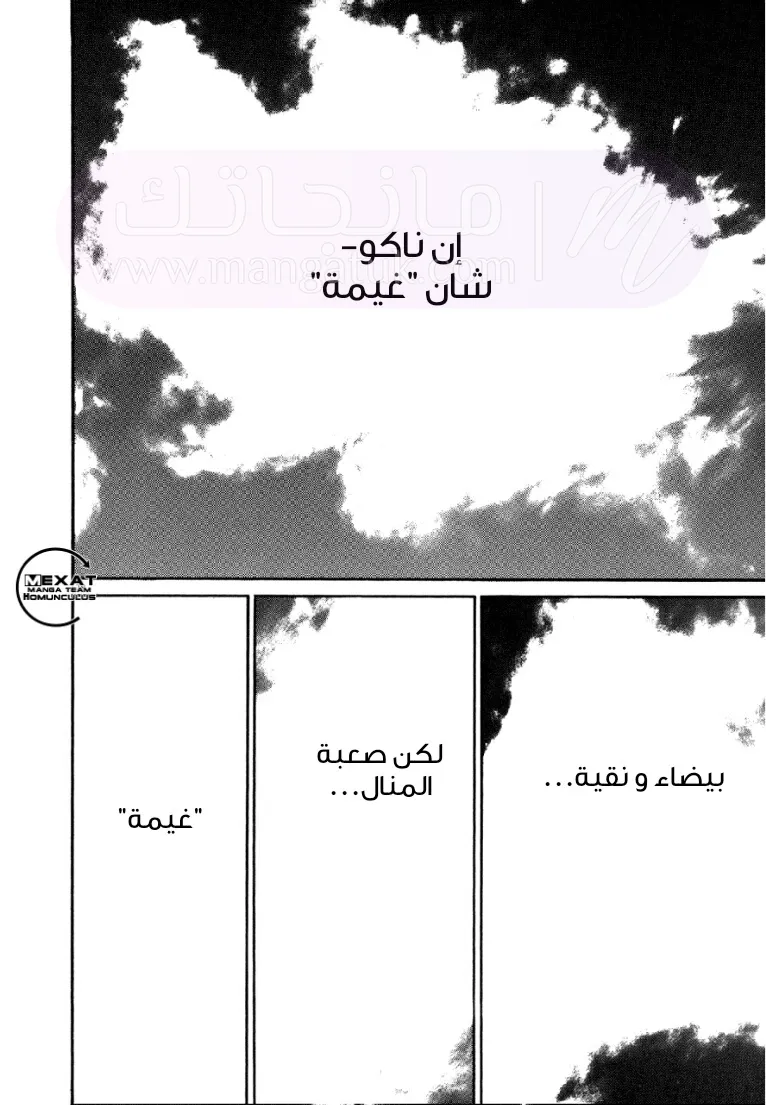 الصفحة 17