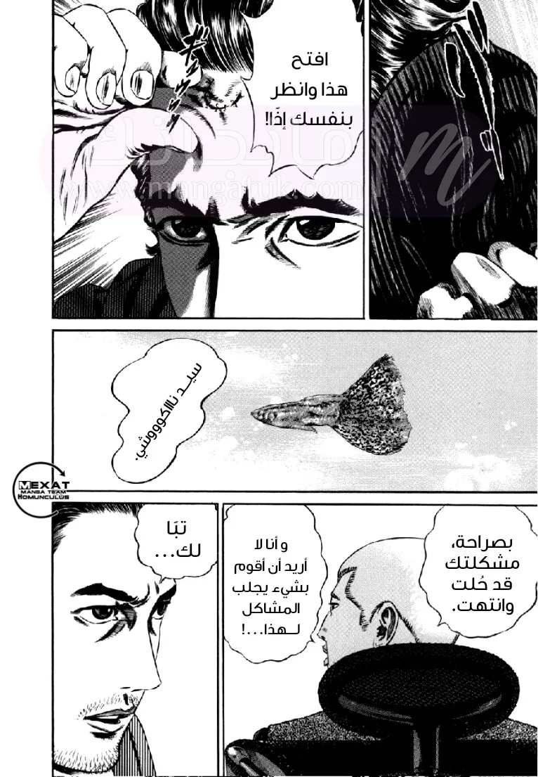 الصفحة 46