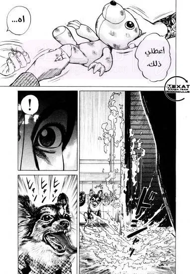 الصفحة 50
