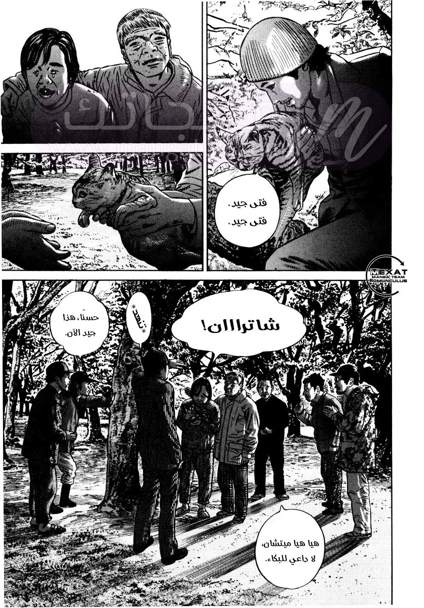الصفحة 41