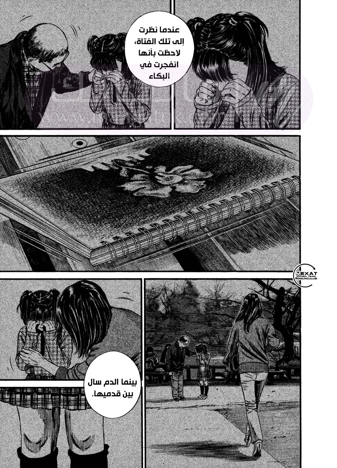 الصفحة 8