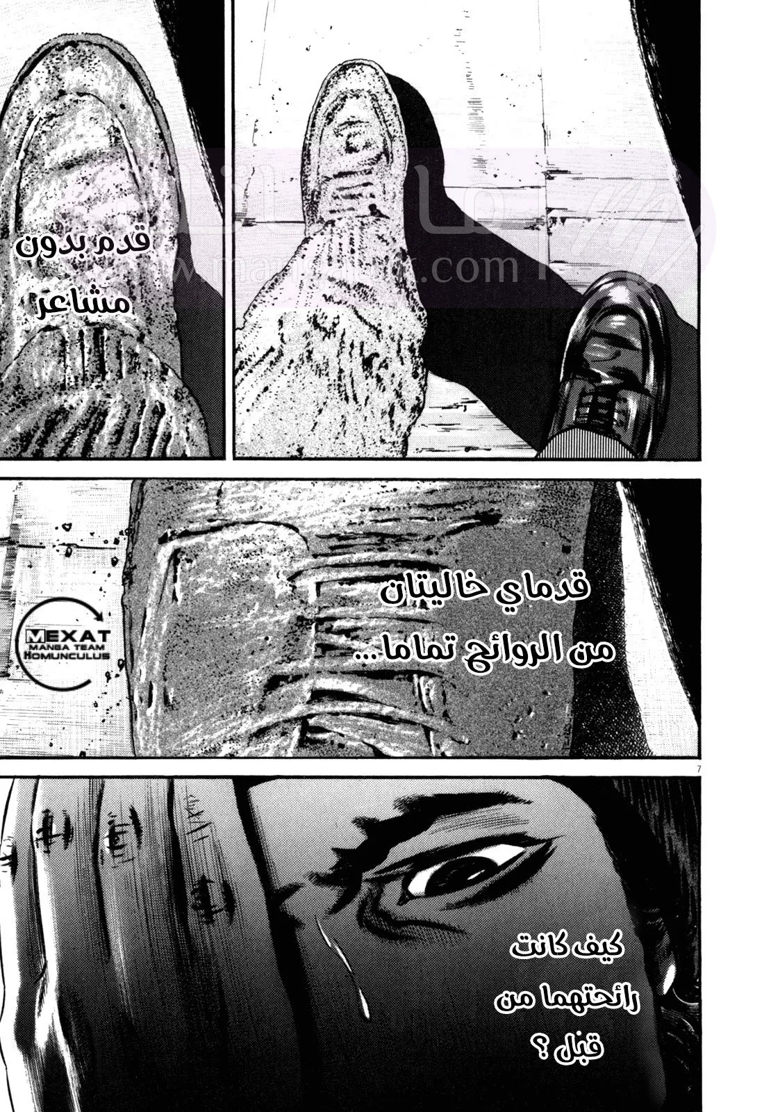 الصفحة 8