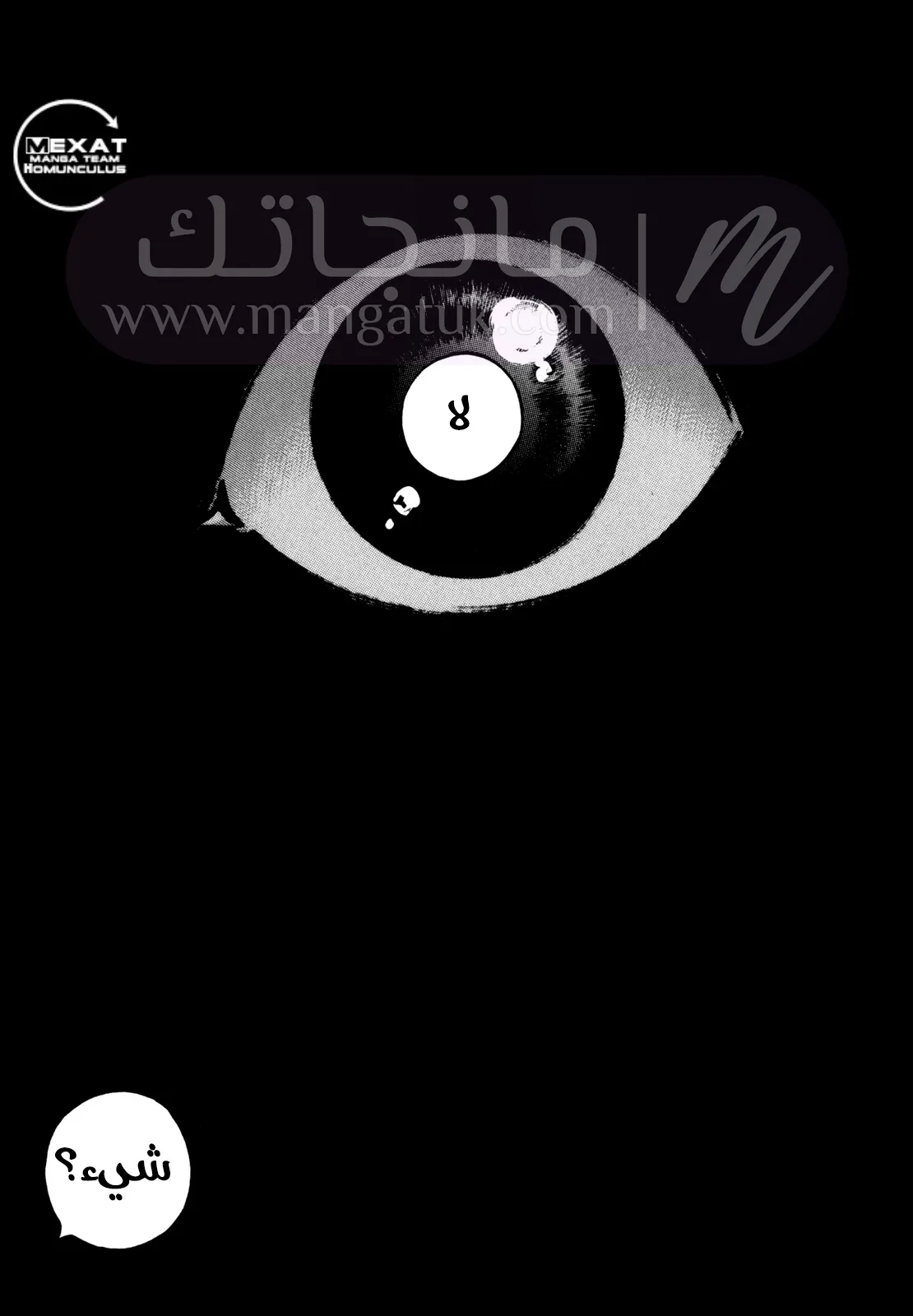 الصفحة 20