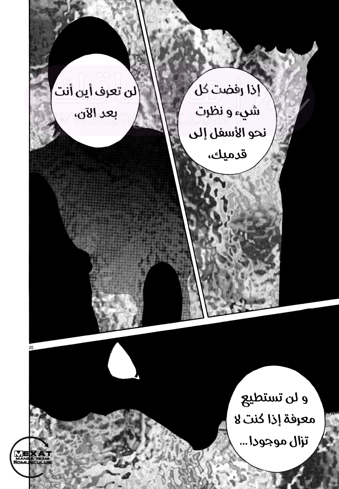 الصفحة 21