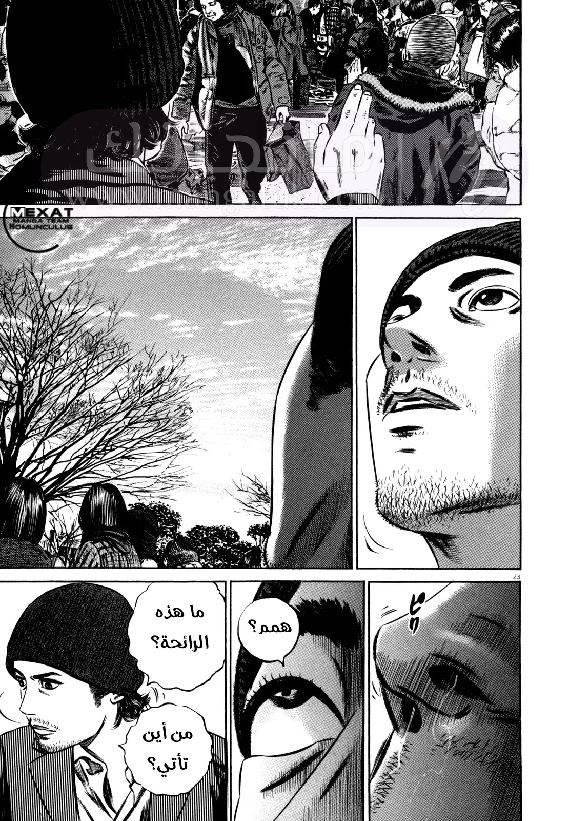 الصفحة 24