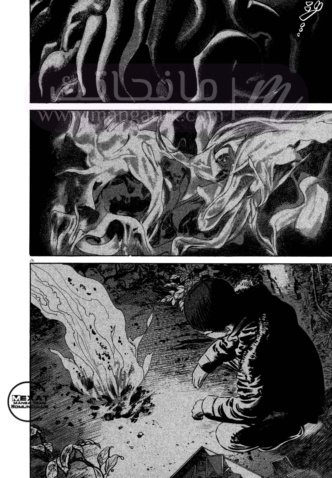 الصفحة 27