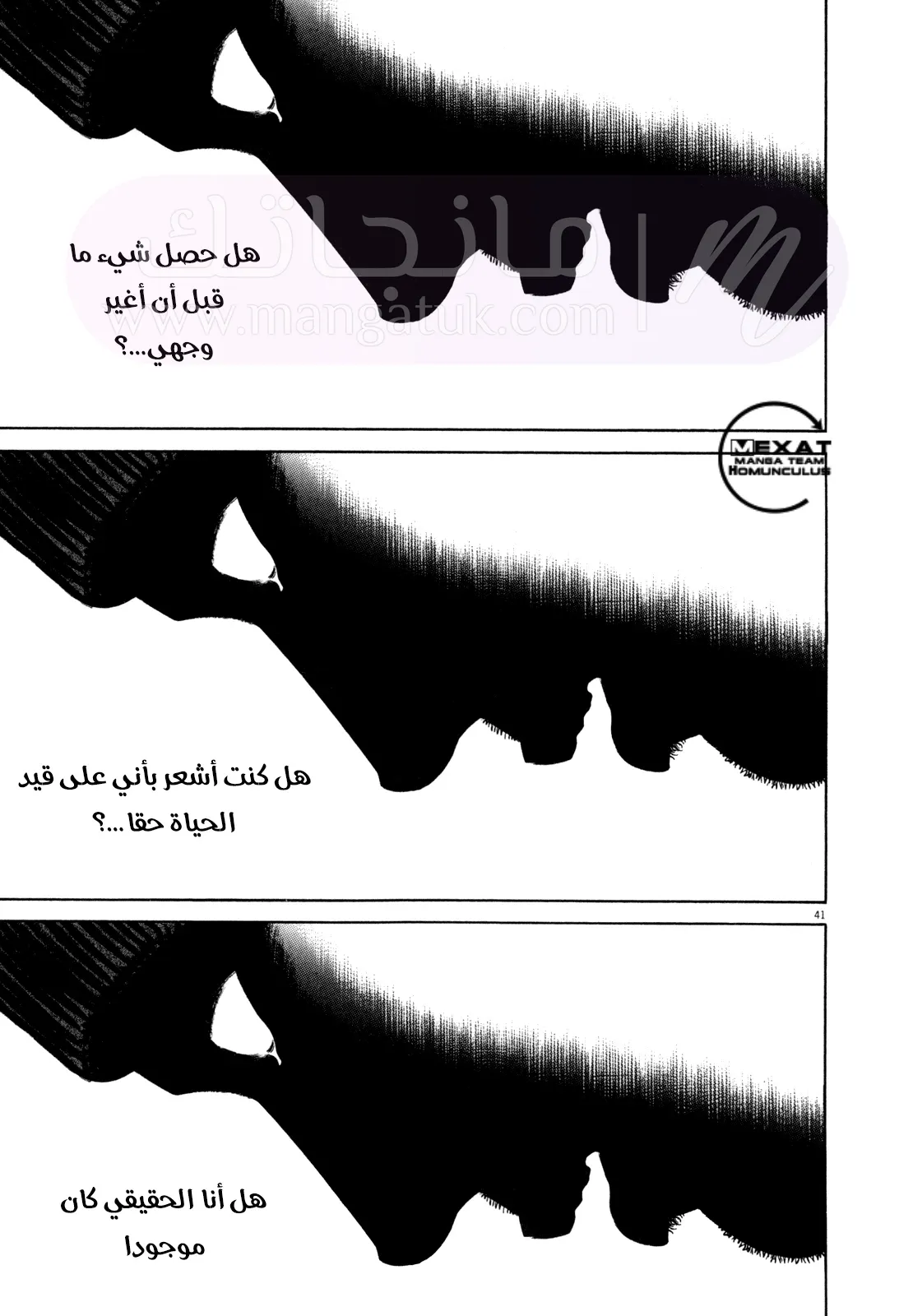 الصفحة 42