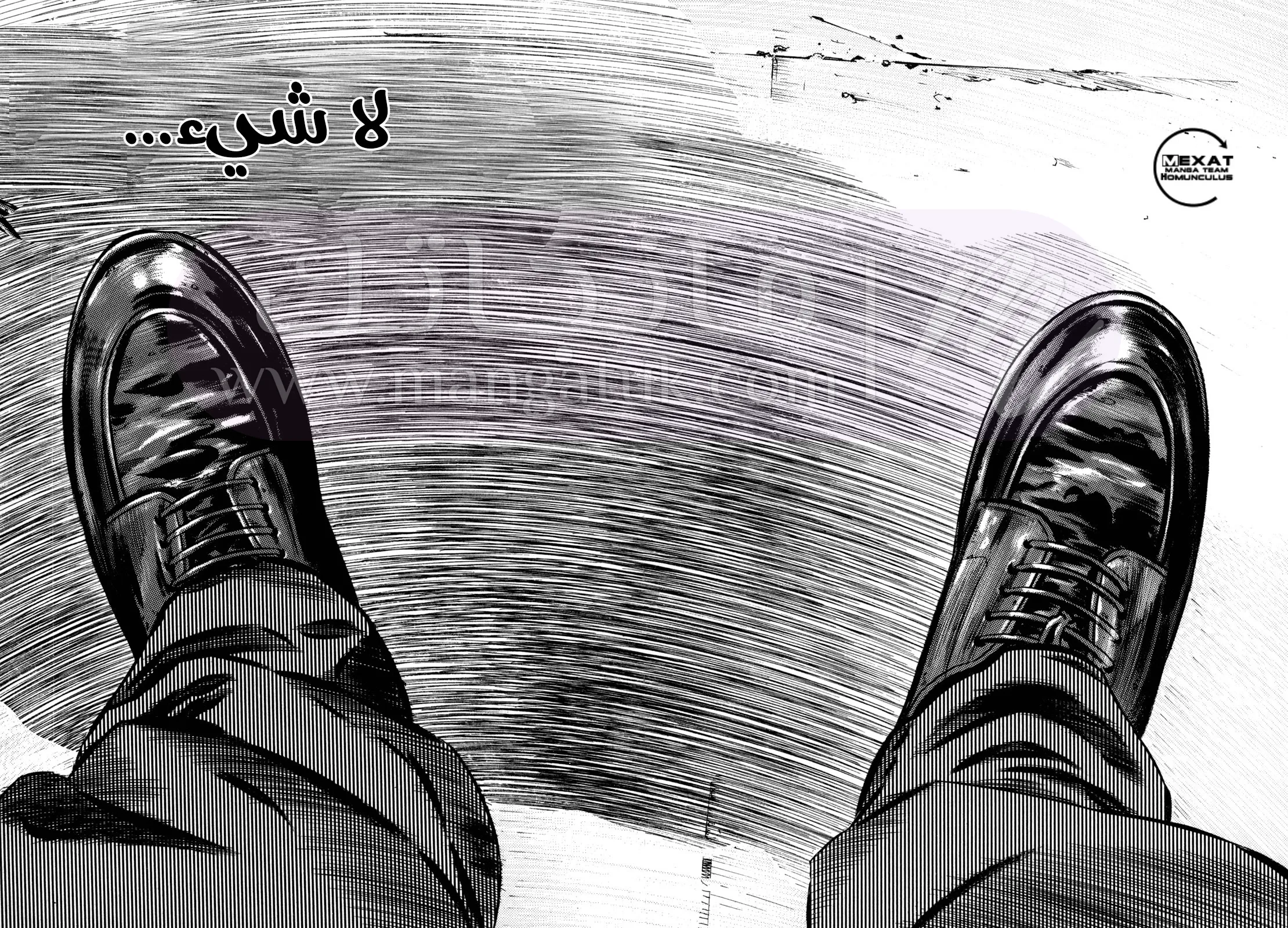 الصفحة 43