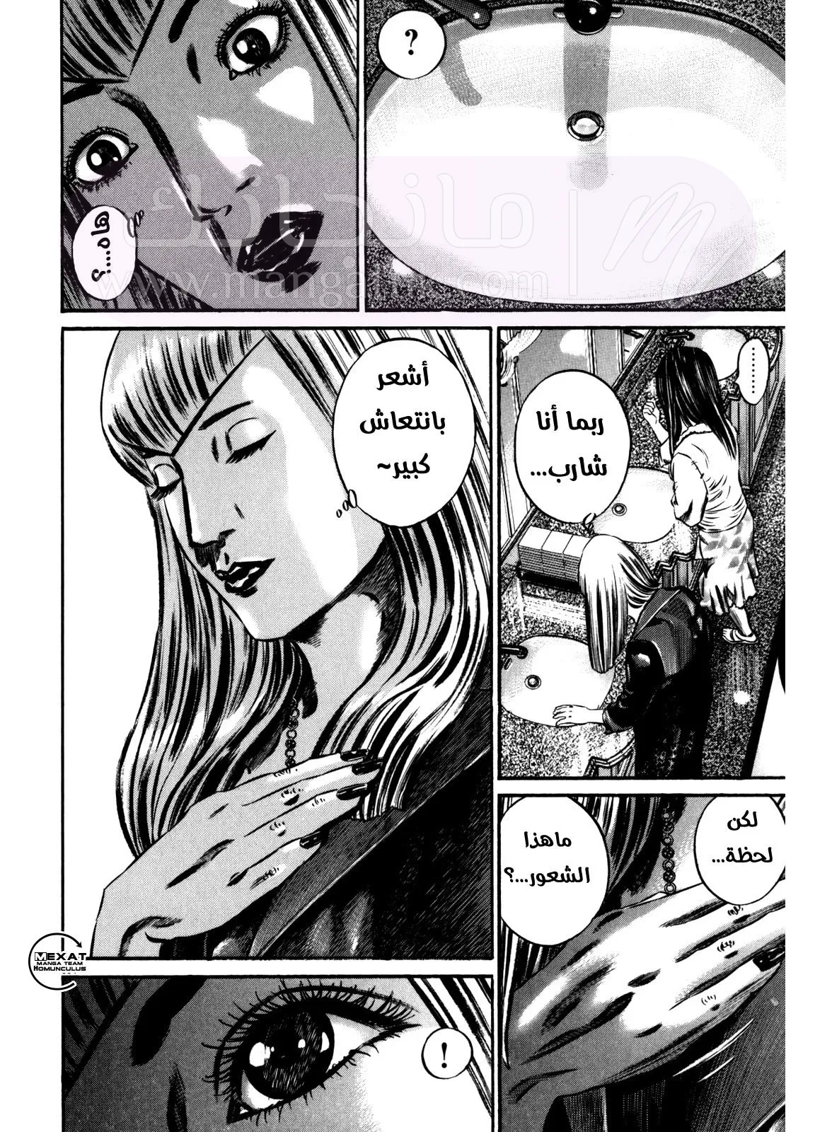 الصفحة 17
